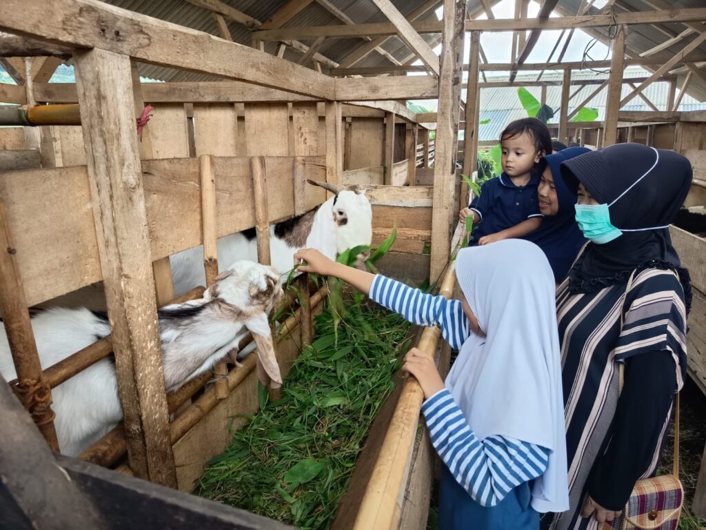 Mengenal Sociopreneur, Sejarah, karakteristik dan Tips Memulai menjadi Wirausaha Sosial