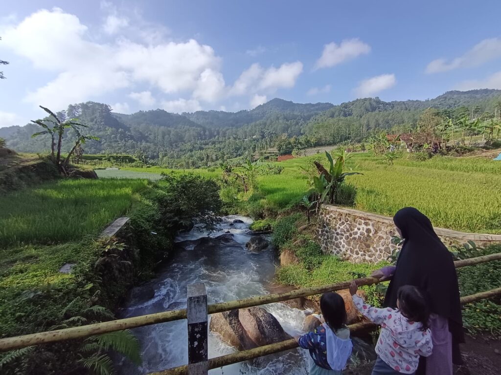 Robot dan Kecerdasan Buatan (AI): Bisakah Menjadi Masa Depan di Bidang Pertanian Indonesia?