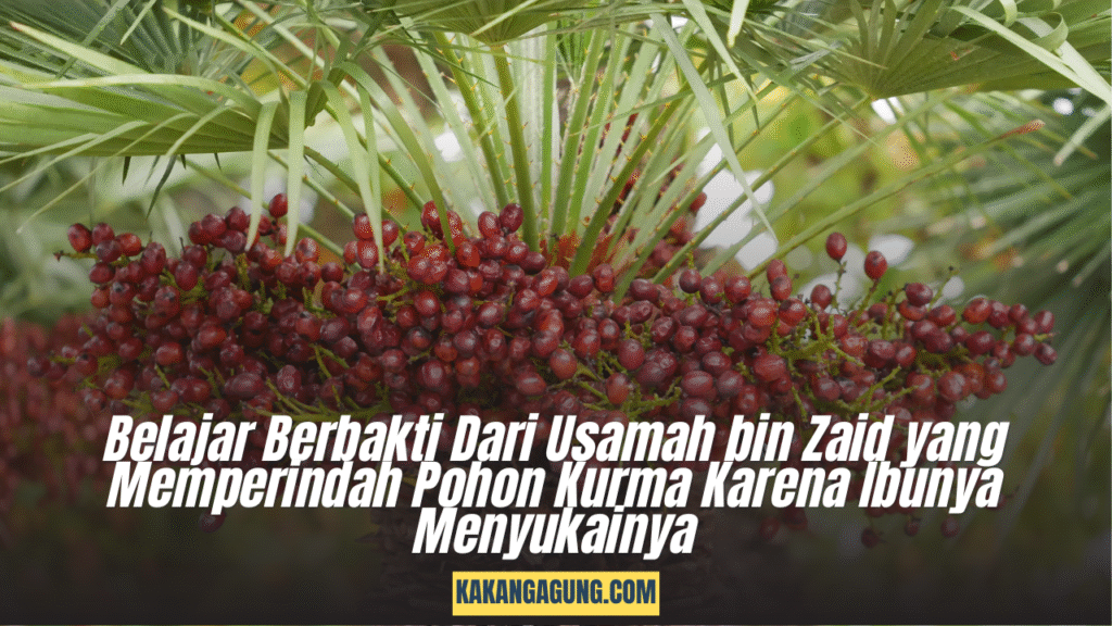 Belajar Berbakti Dari Usamah bin Zaid yang Memperindah Pohon Kurma Karena Ibunya Menyukainya