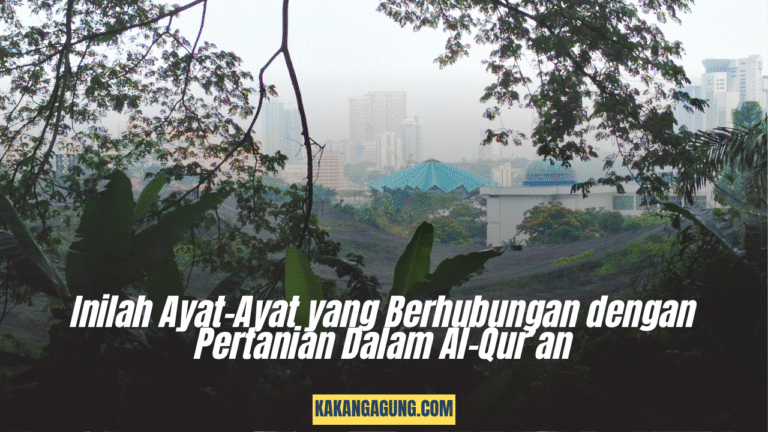 Inilah  Ayat-Ayat yang Berhubungan dengan Pertanian Dalam Al-Qur’an