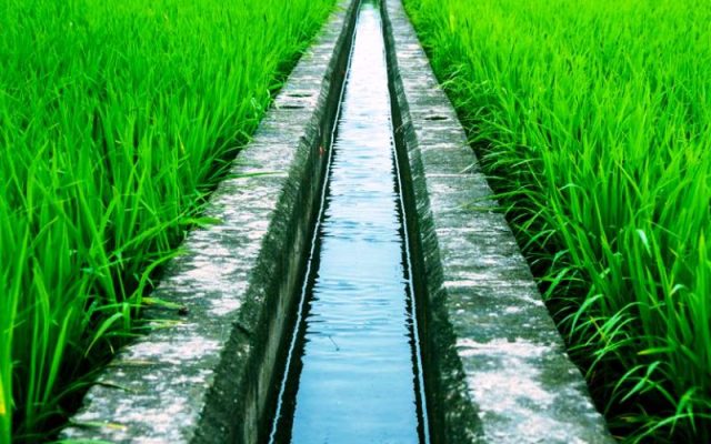 Ketahanan Pangan Bisa Dimulai dengan Memahami Sistem Irigasi yang Begitu Penting Dalam Dunia Pertanian