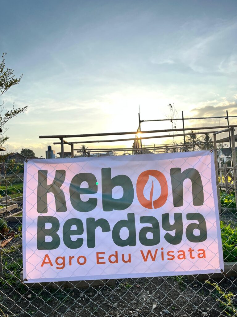 Mengenal 4 Teknik Budidaya Tanaman di Pertanian Modern