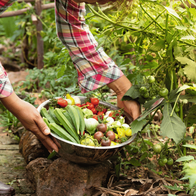 Selain Sayur dan Buah, Panen Pahala Sedekah Juga Didapatkan Bagi yang Bercocok Tanam