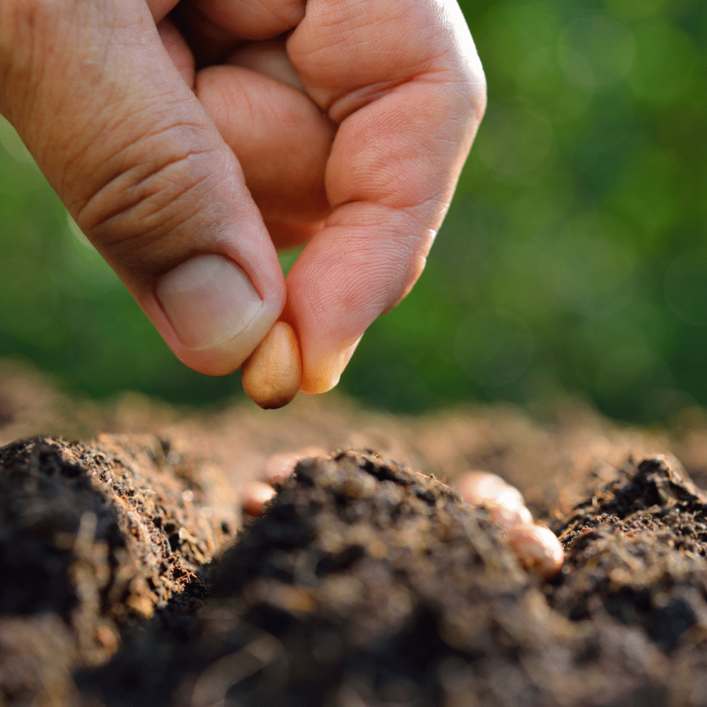 Keutamaan Bertani Dalam Islam : Menanam Biji dan Benih, Memanen Pahala