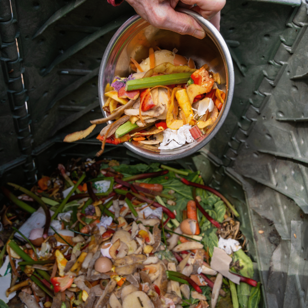Jangan Buang Sisa Bahan di Dapur Ini, Sebab Bisa Tumbuh Lagi Dengan Teknik Regrow