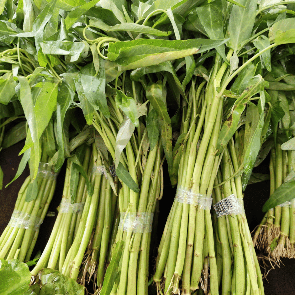 Menilik Kangkung Hidroponik dan Kelebihannya 